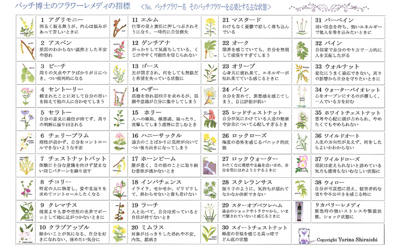 バッチフラワーレメディ38の指標